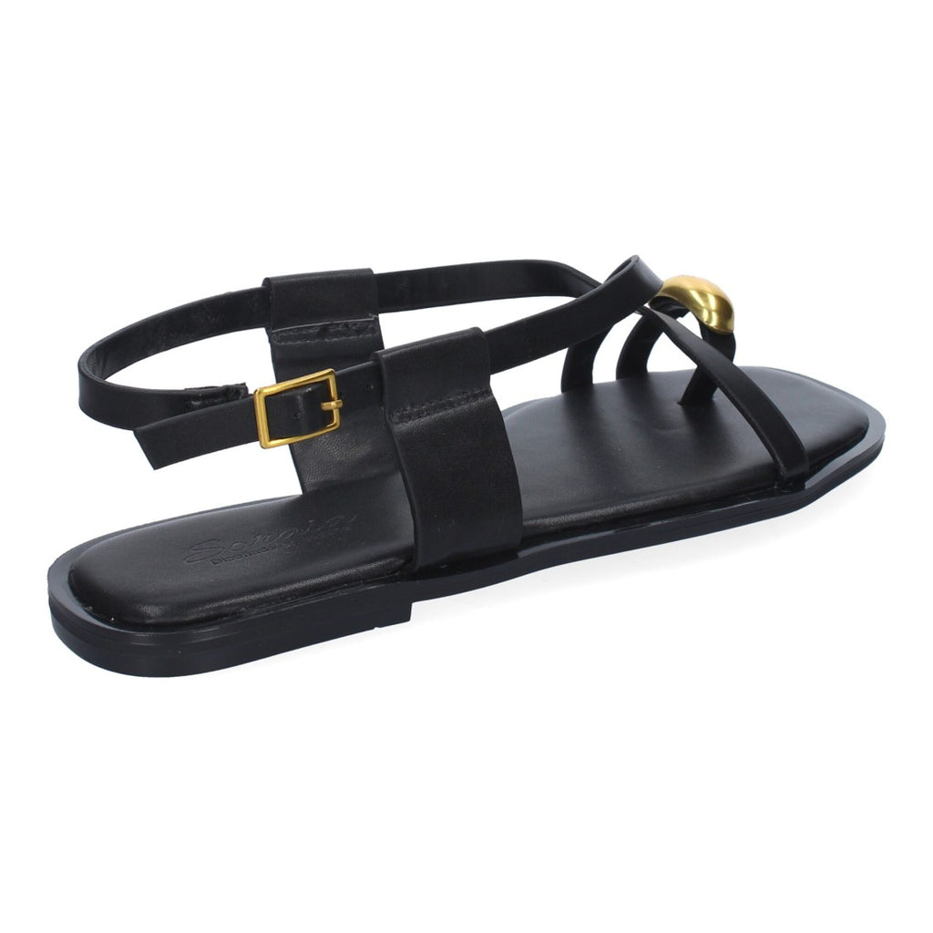 TC-1U1-Black