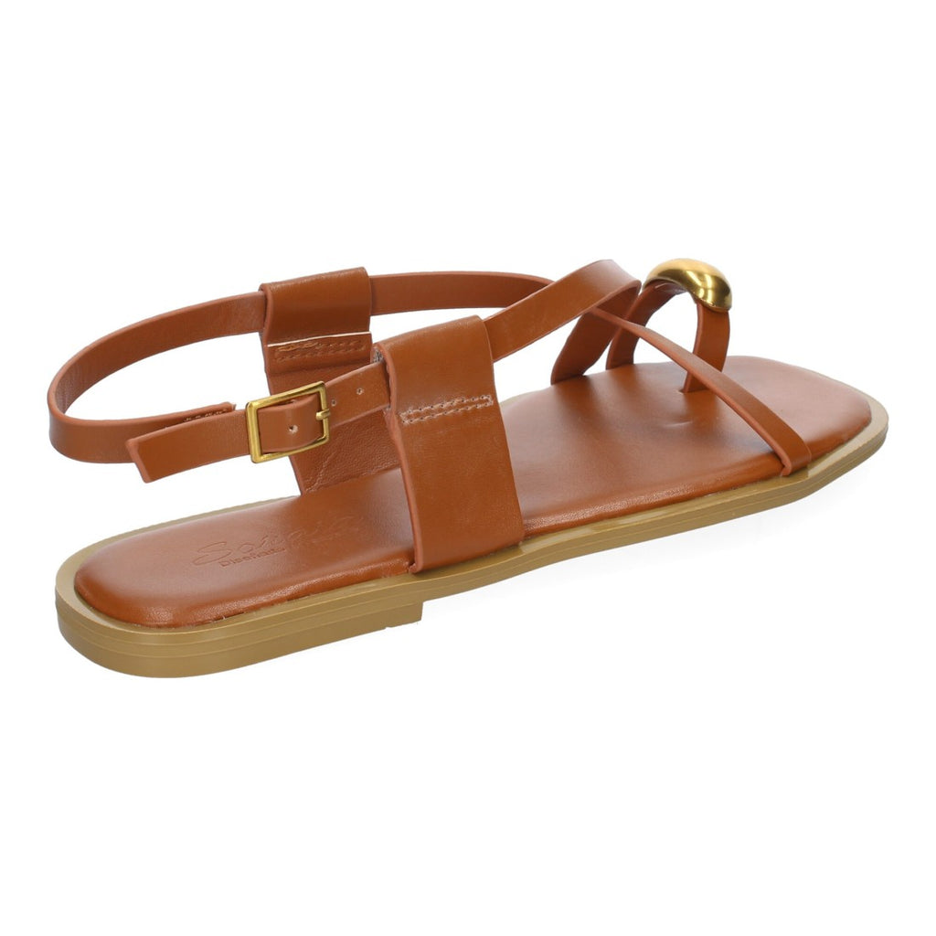 TC-1U1-Camel