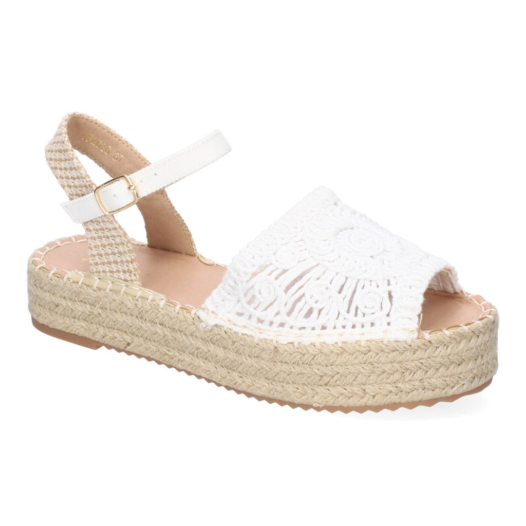 TF2638-White