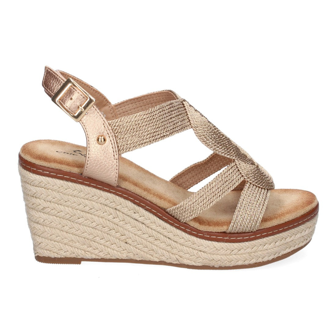 TF5326-Champagne