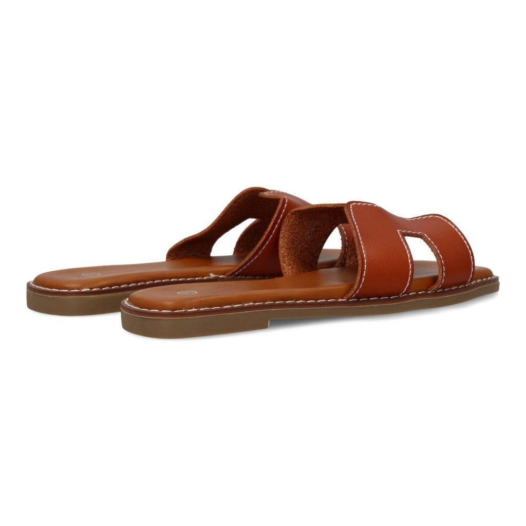 M-8081-Camel