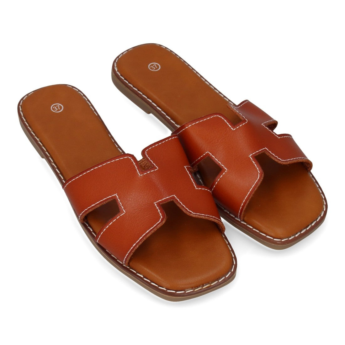 M-8081-Camel