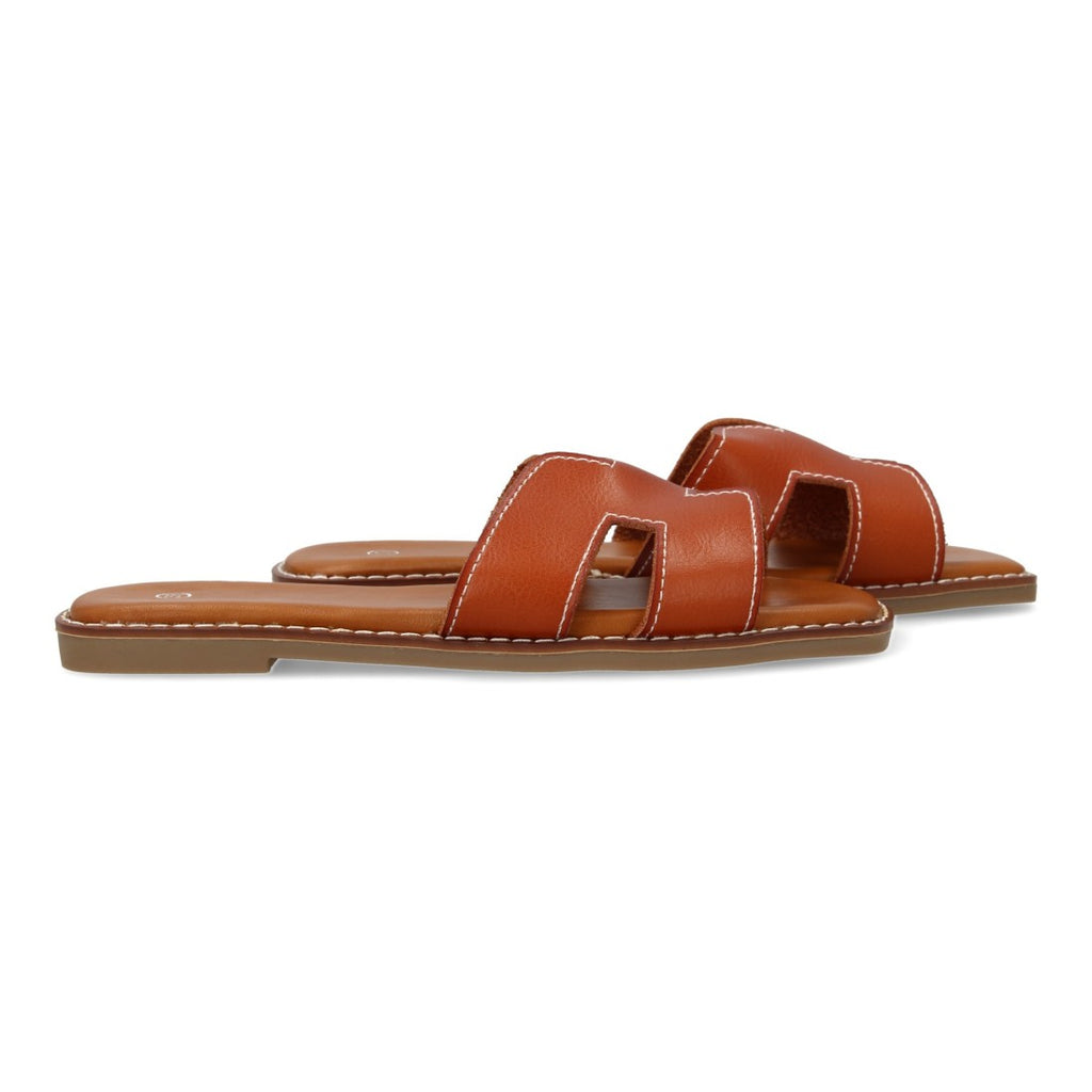 M-8081-Camel