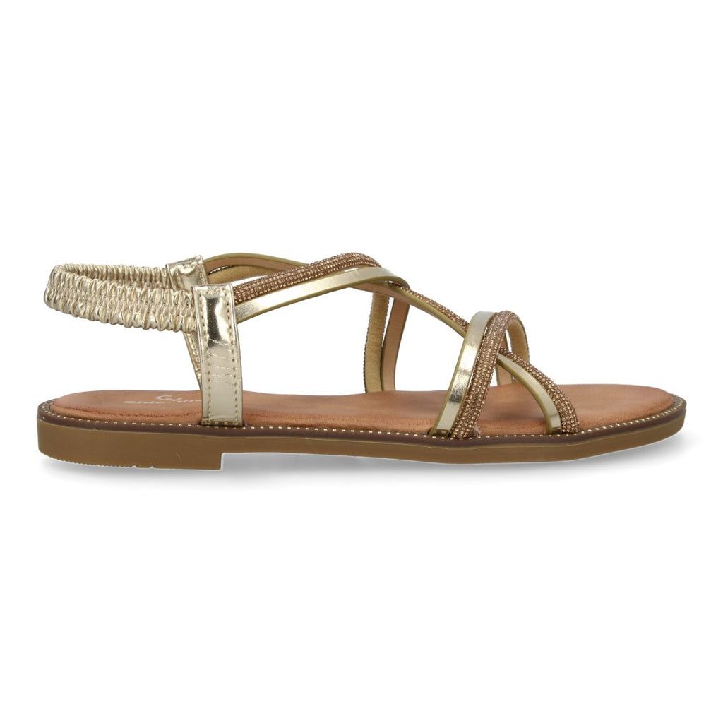 TF2509-Gold