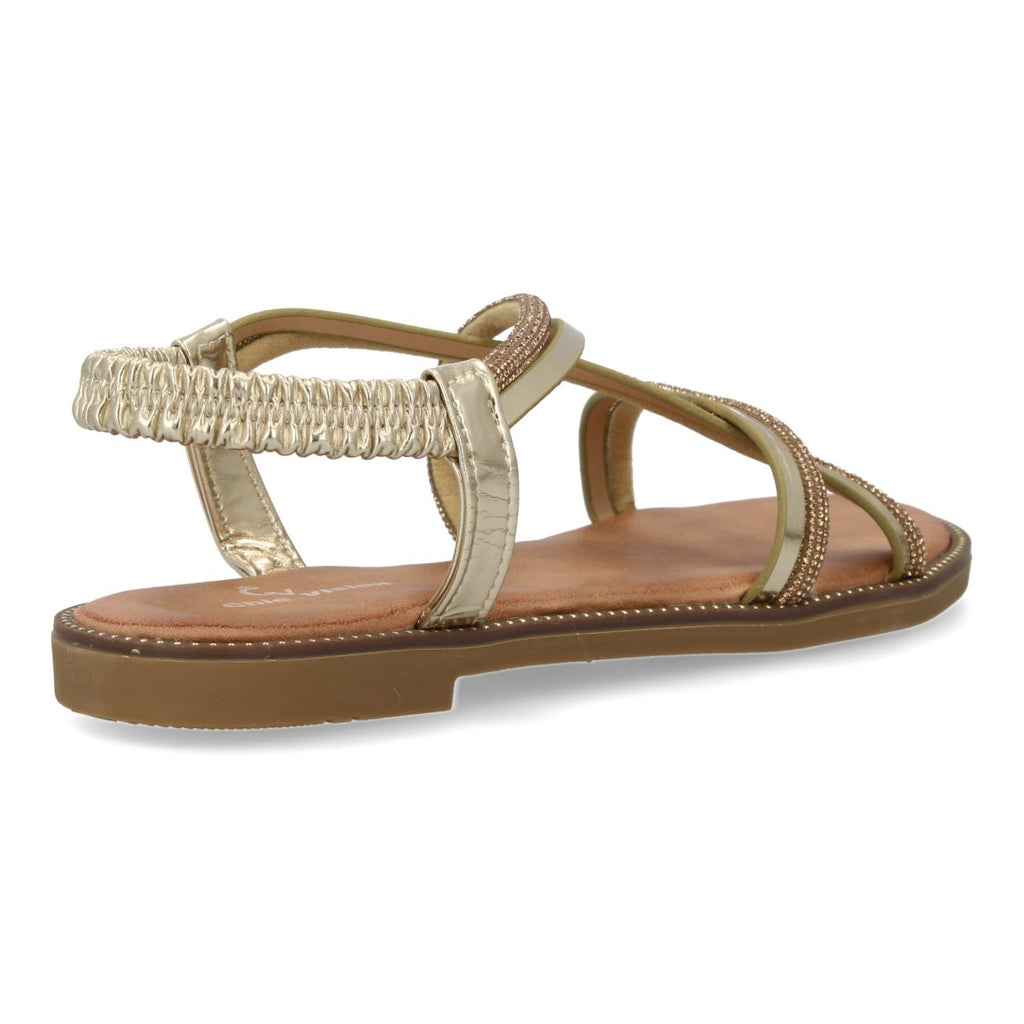 TF2509-Gold
