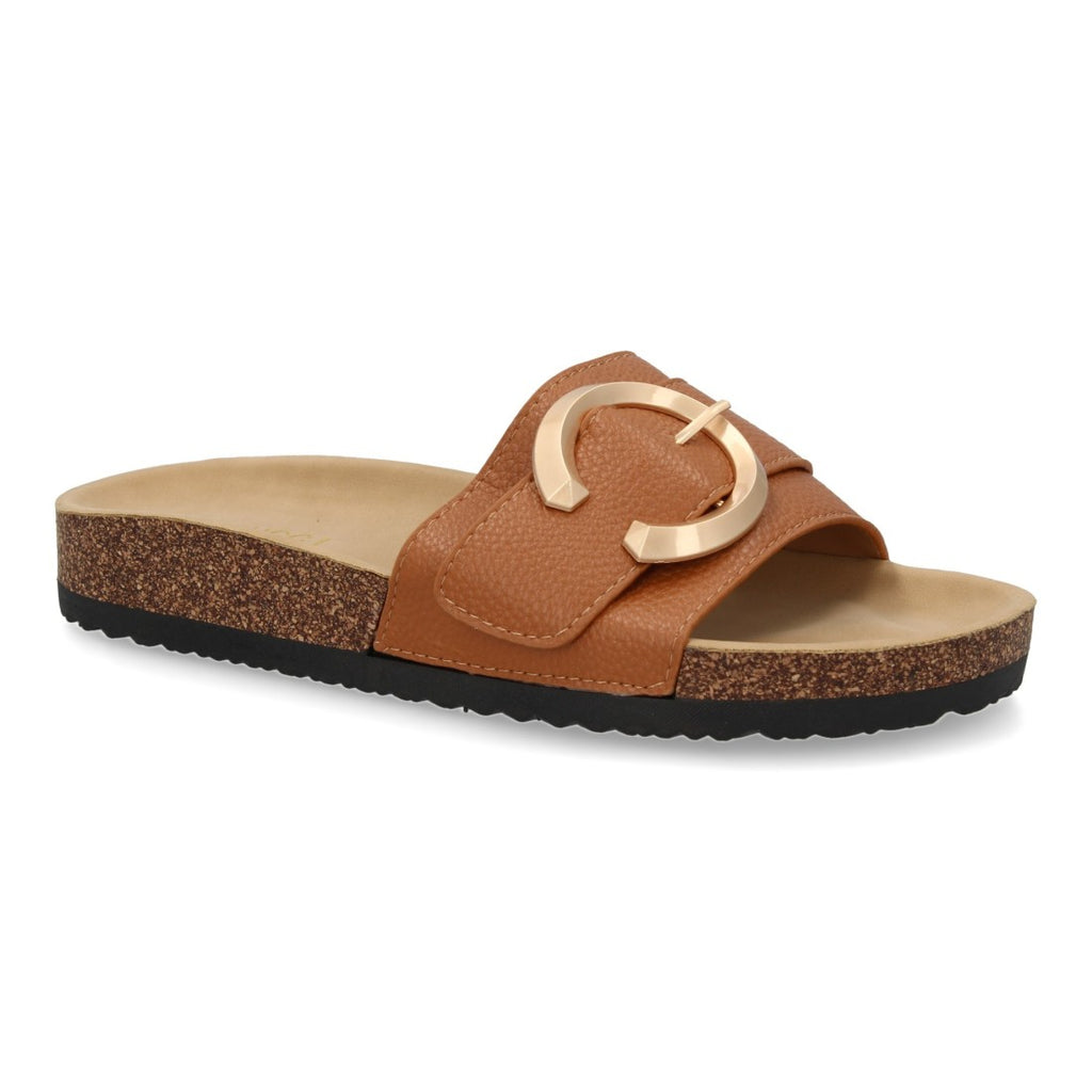 VR5-1757-Camel