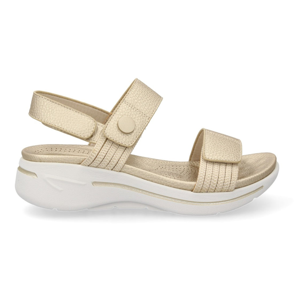 HLS-0692-Gold
