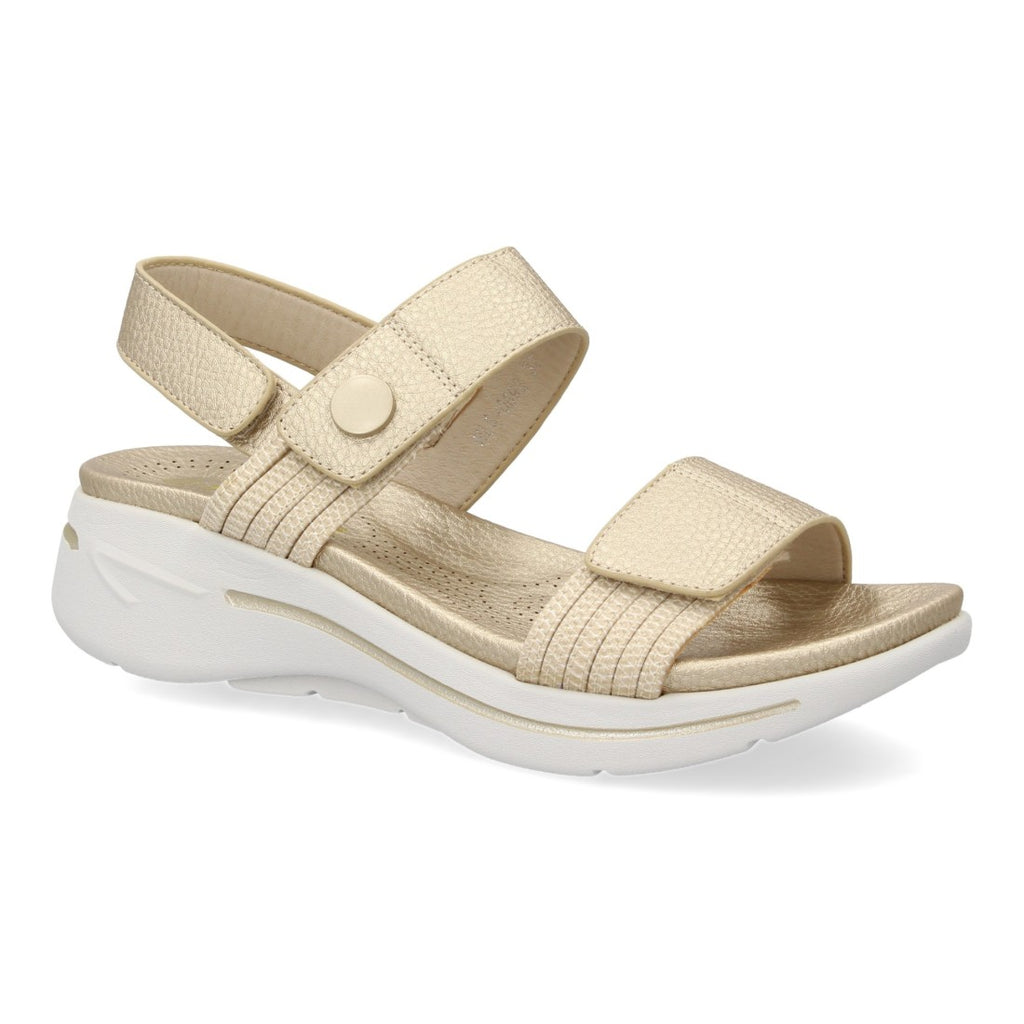 HLS-0692-Gold