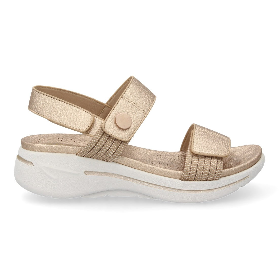 HLS-0692-Champan