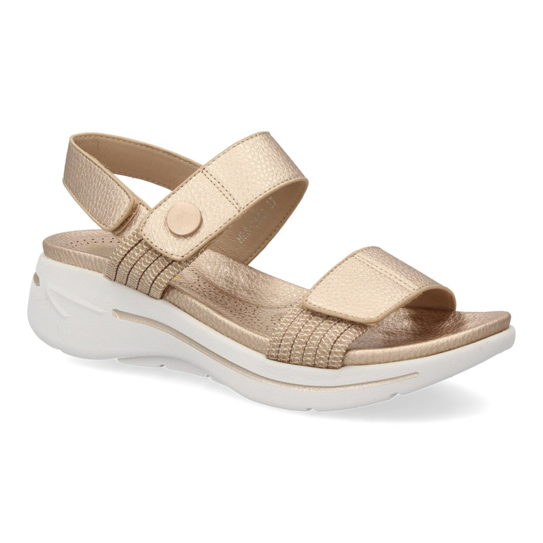 HLS-0692-Champan