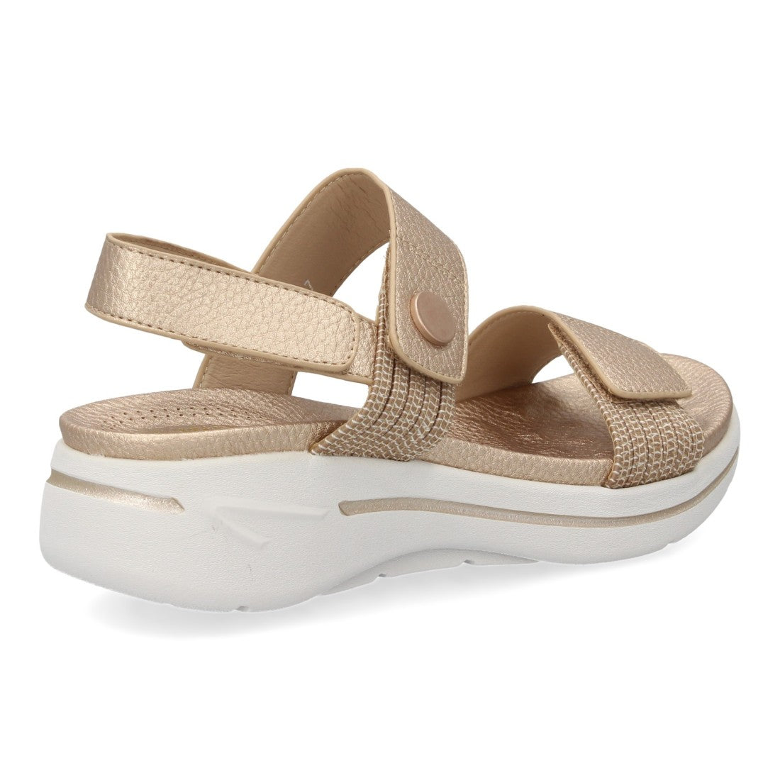 HLS-0692-Champan