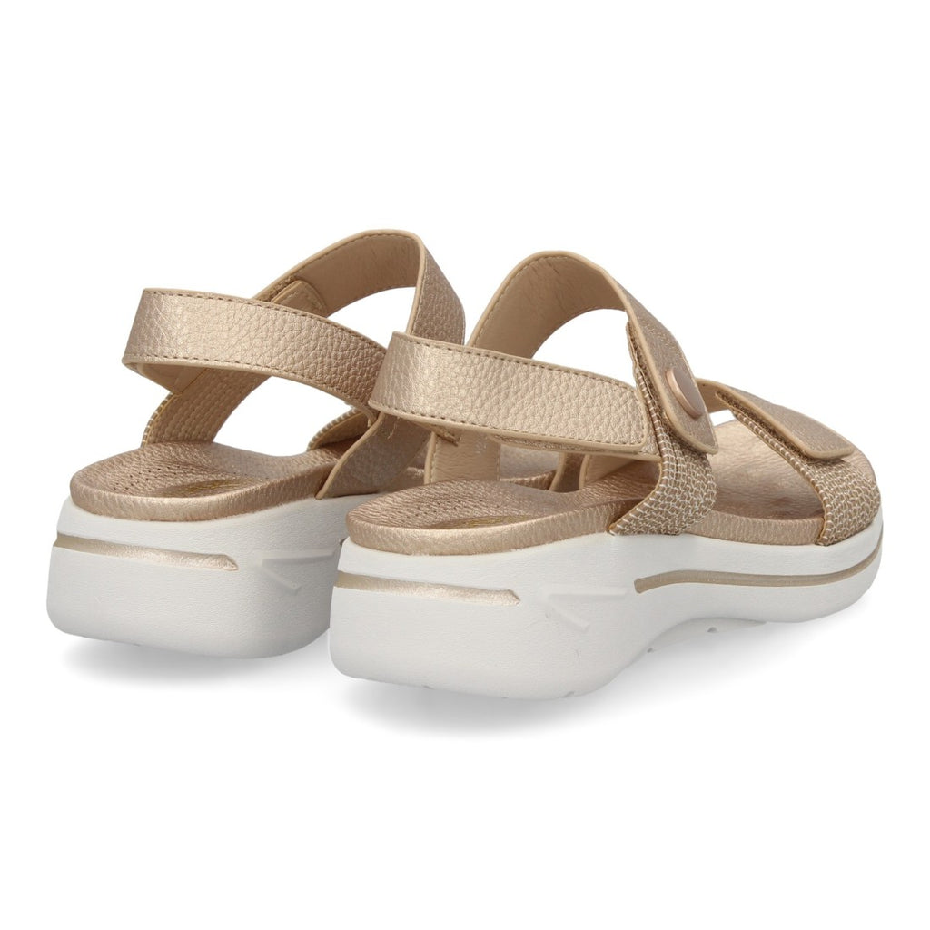 HLS-0692-Champan