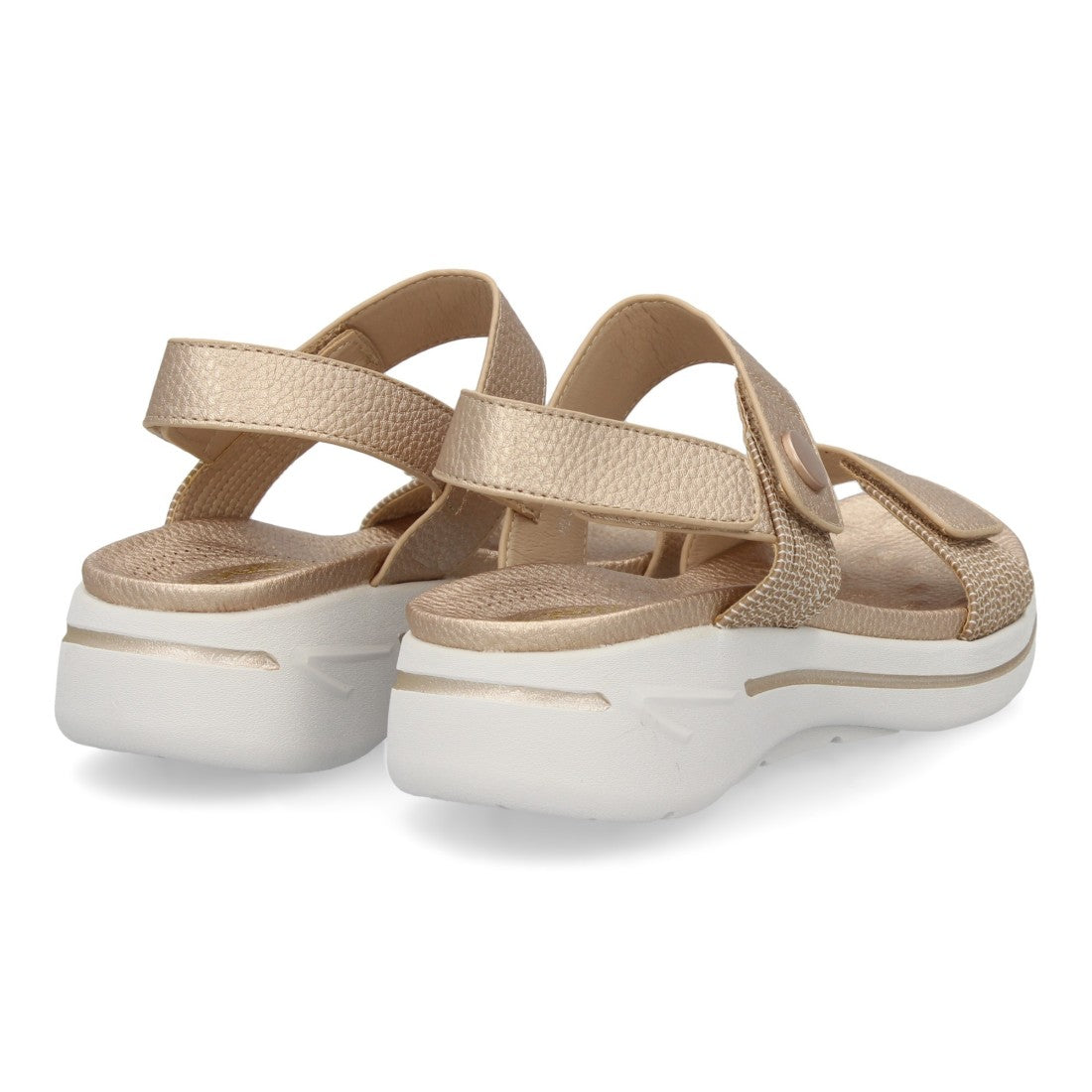 HLS-0692-Champan