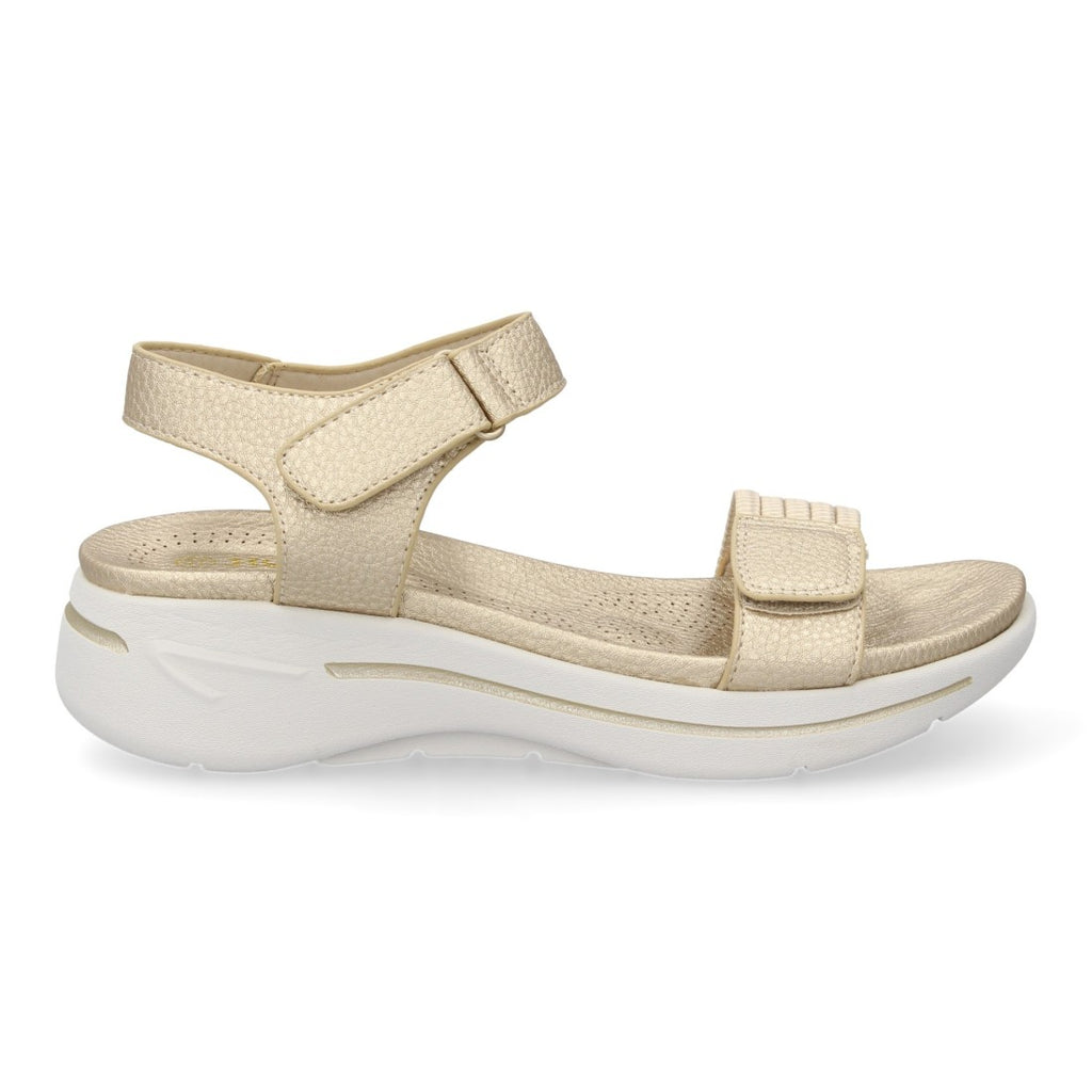 HLS-0691-Gold