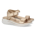 HLS-0691-Champagne