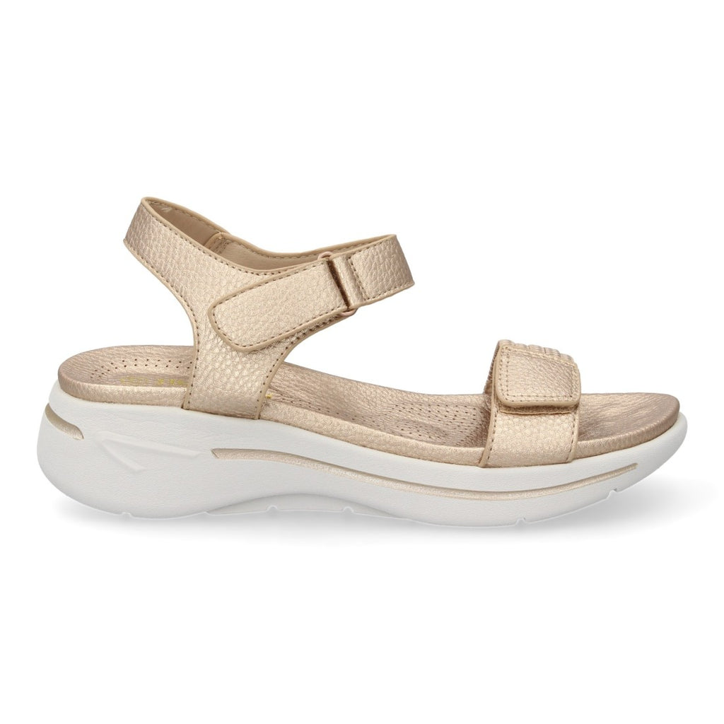 HLS-0691-Champan