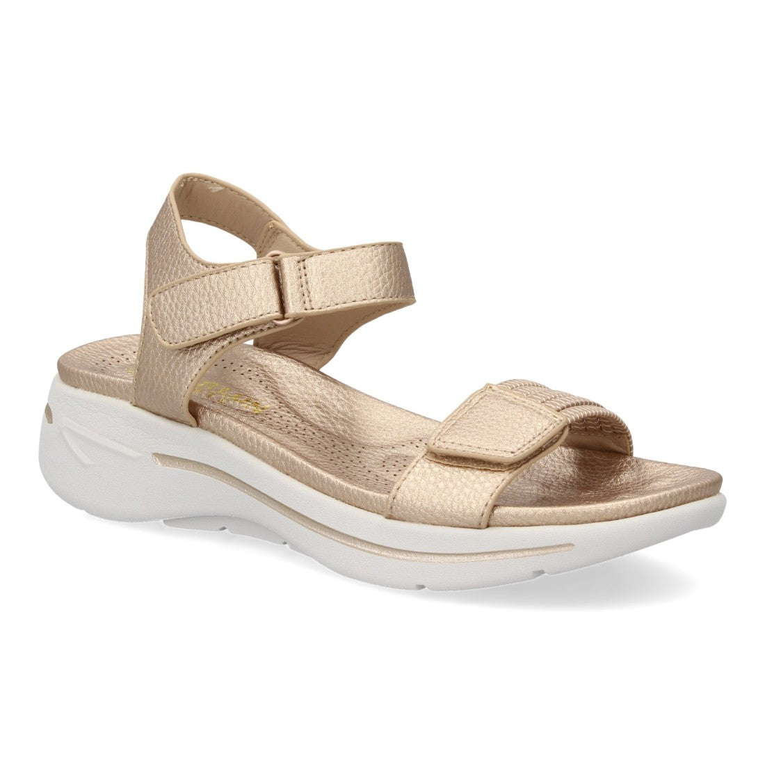 HLS-0691-Champan