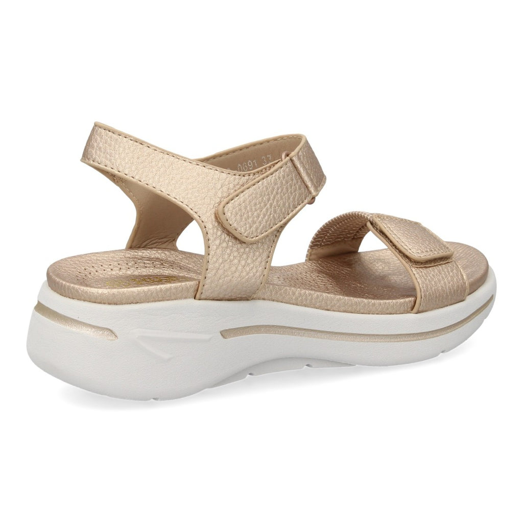 HLS-0691-Champan