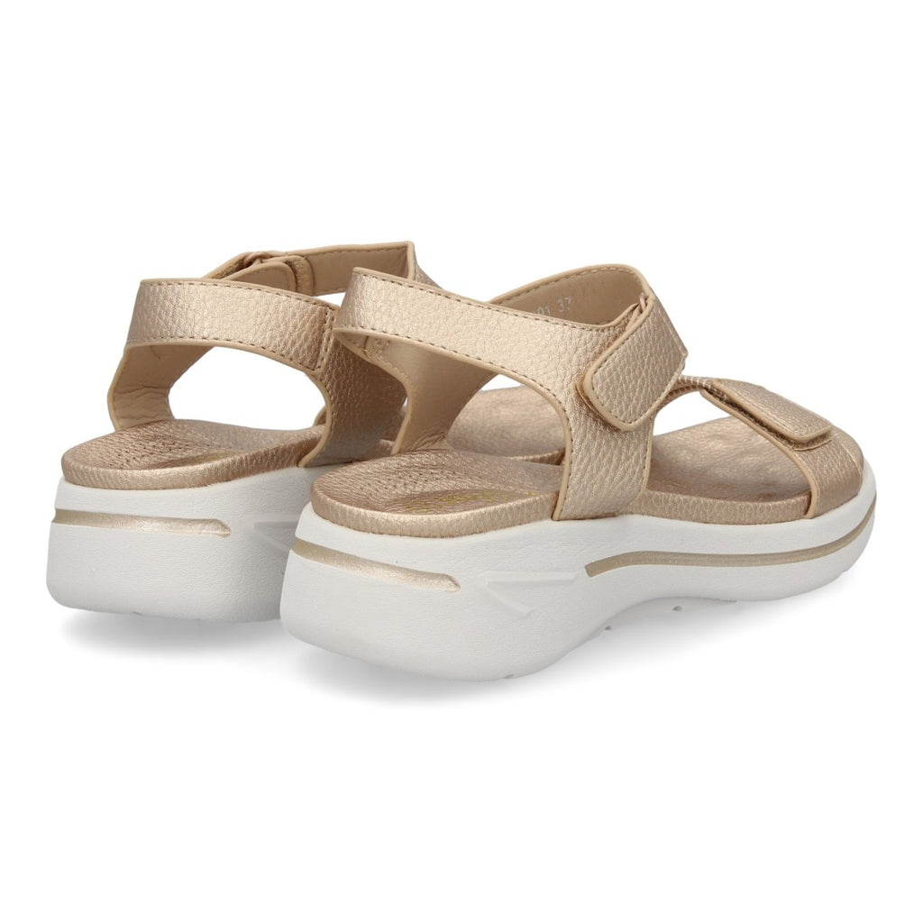 HLS-0691-Champagne