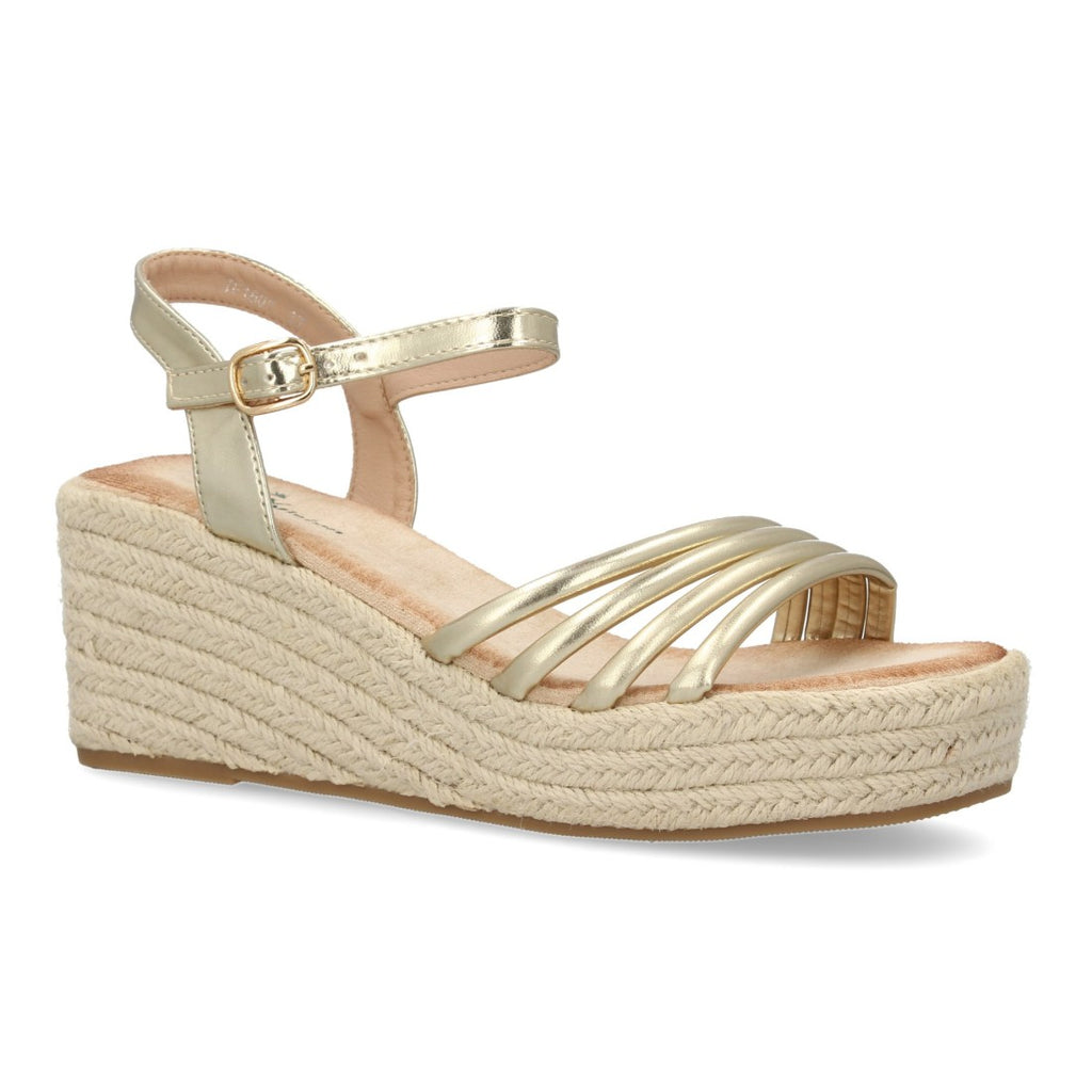 TF1601-Gold