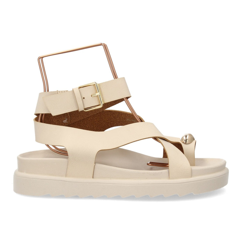 AG-421-Apricot