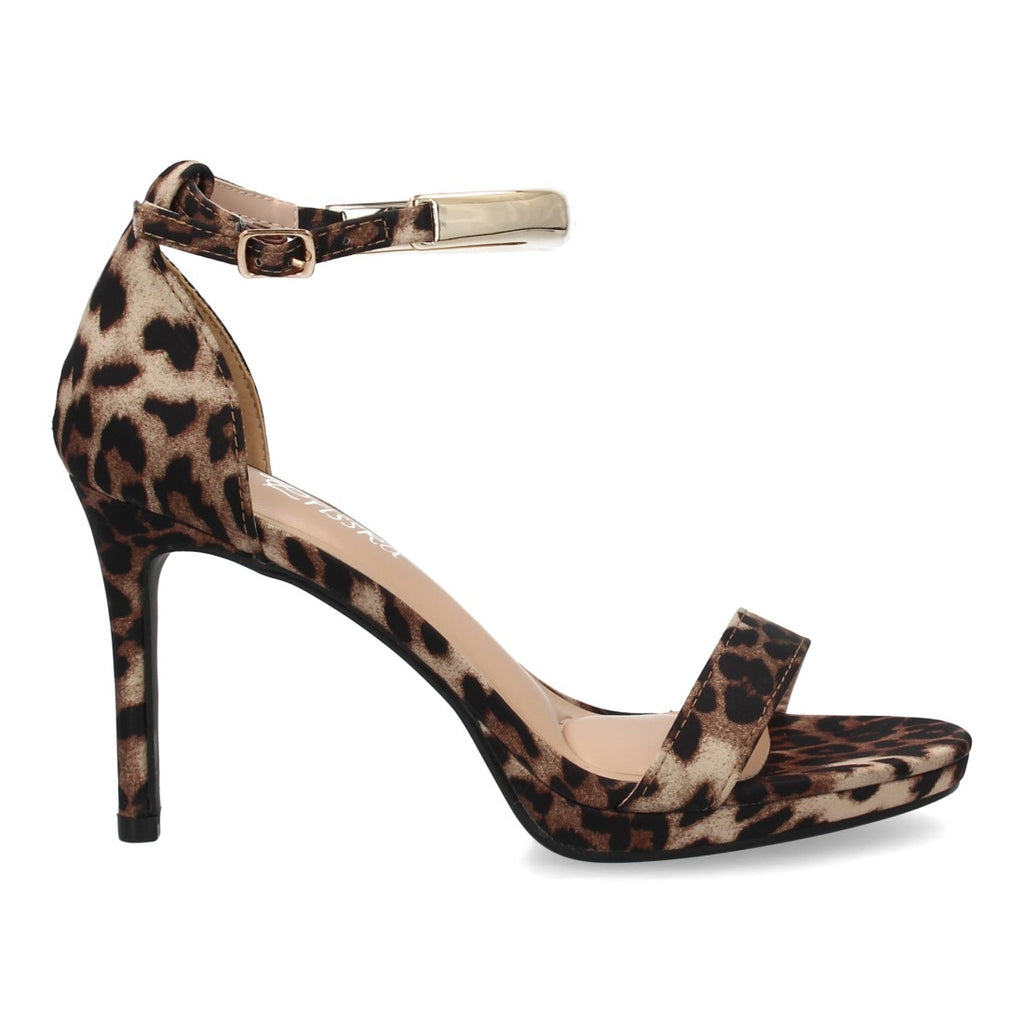 BD537-Leopard