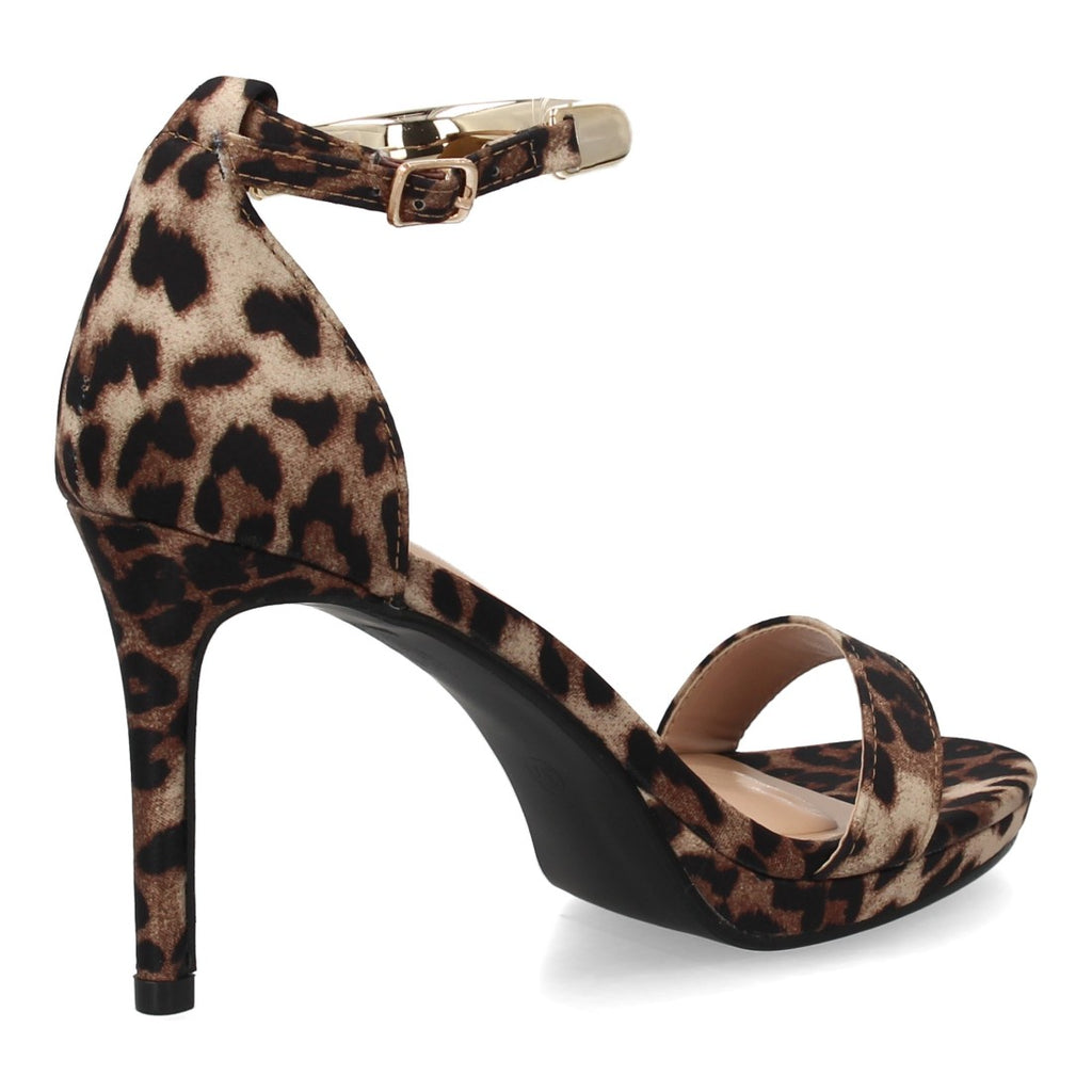 BD537-Leopardo