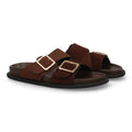 OH-571-Brown