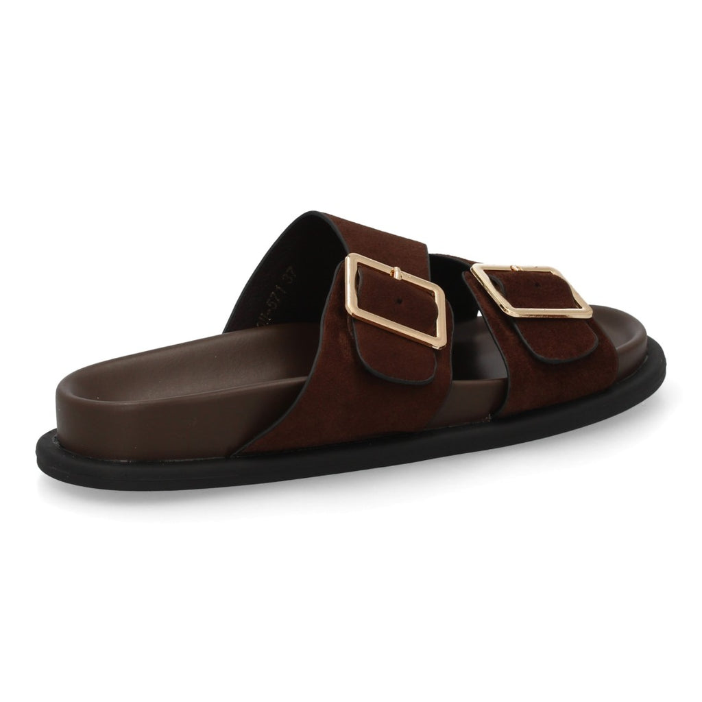 OH-571-Brown