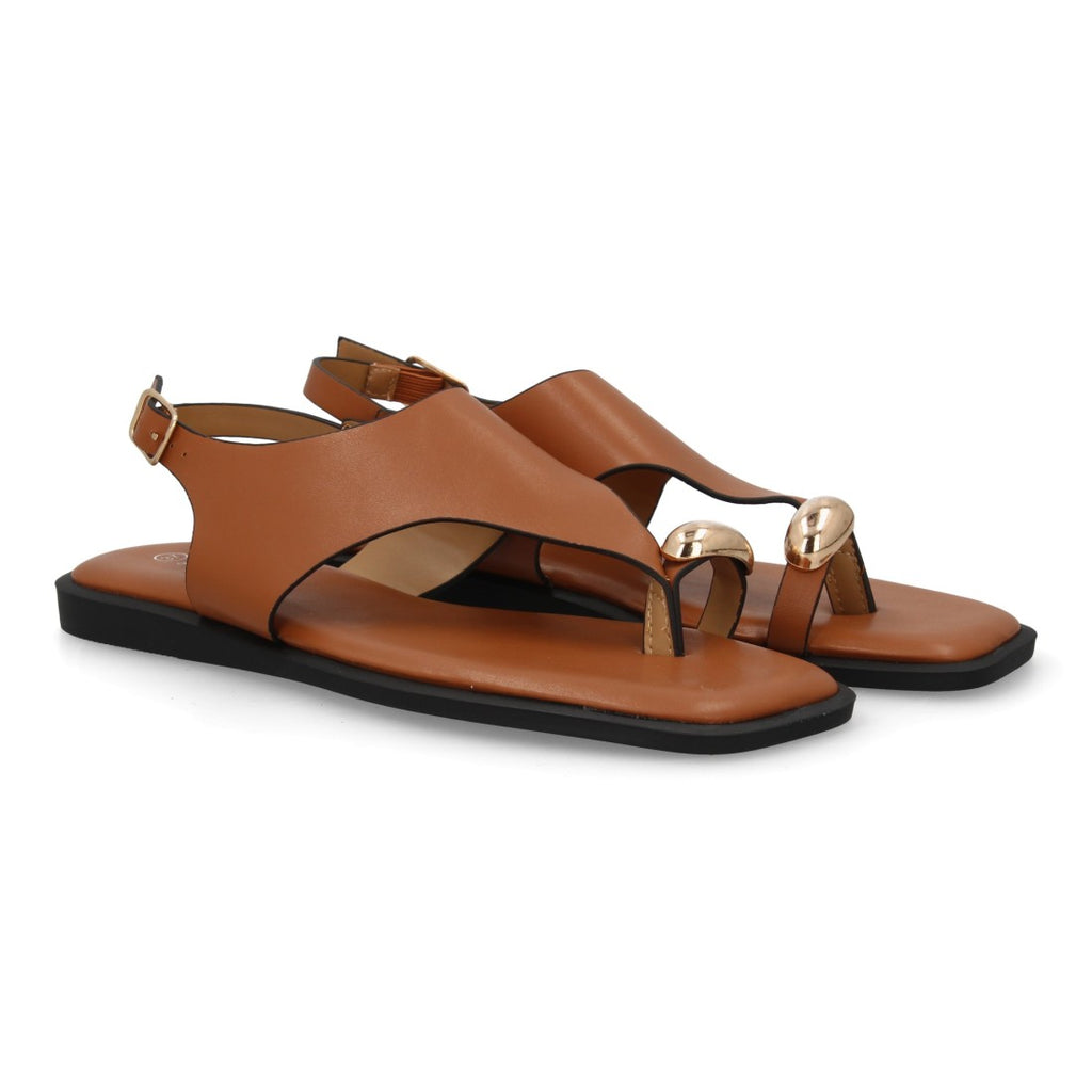 DD272-Camel