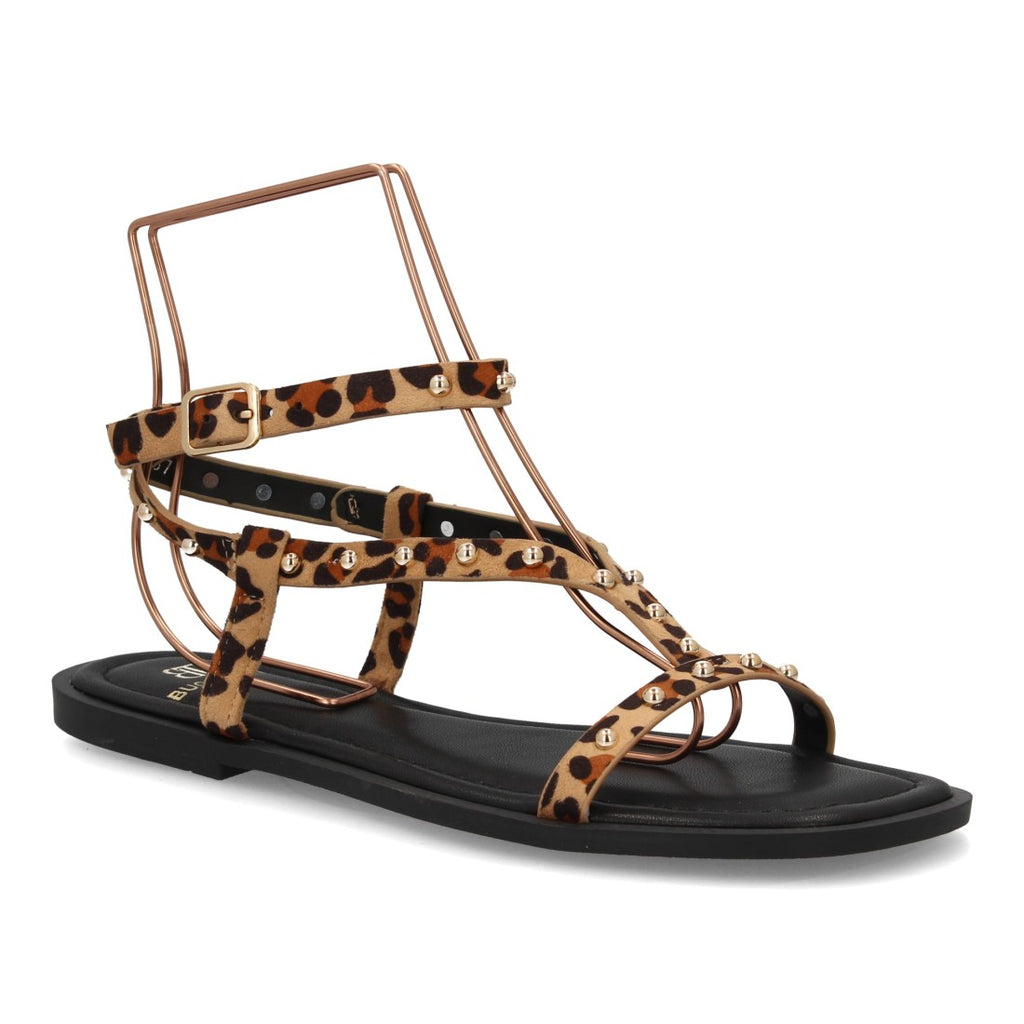 HG-5806-Leopard