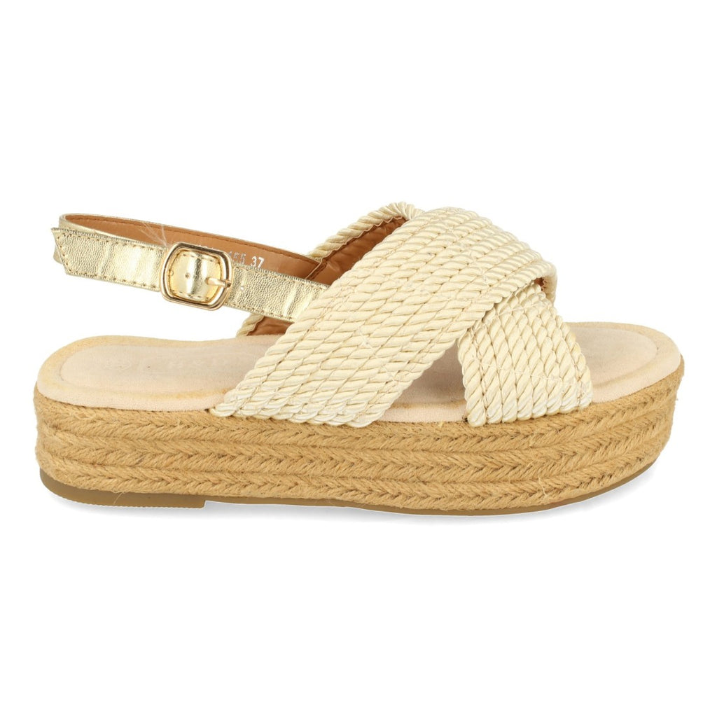 YZ19-155-Oro
