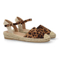 JY-3A024-Leopard