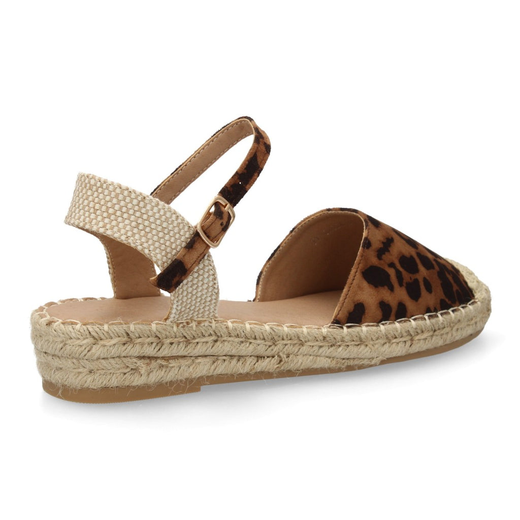 JY-3A024-Leopard