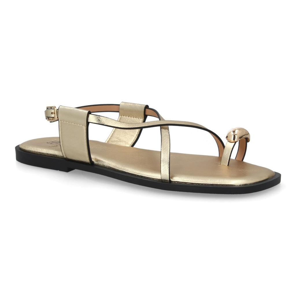 TC-1U1-Gold