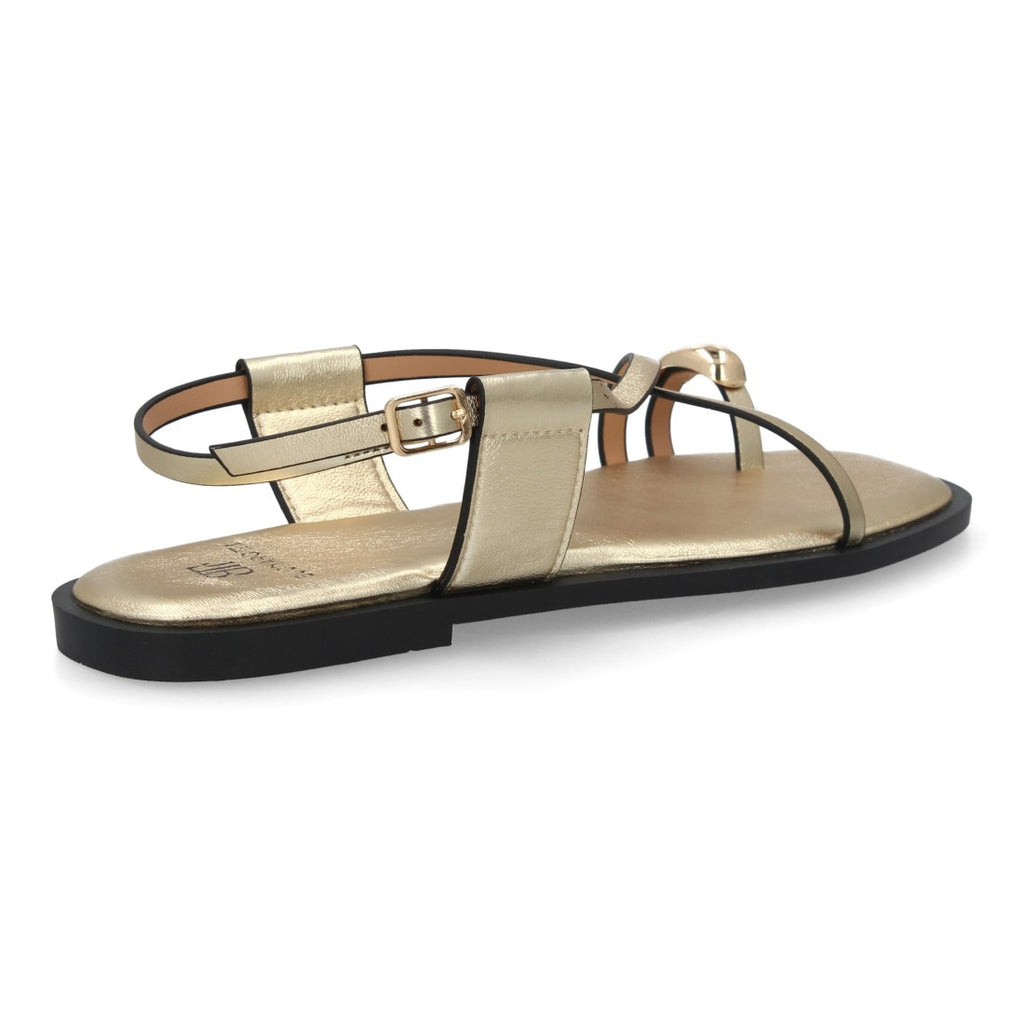 TC-1U1-Gold
