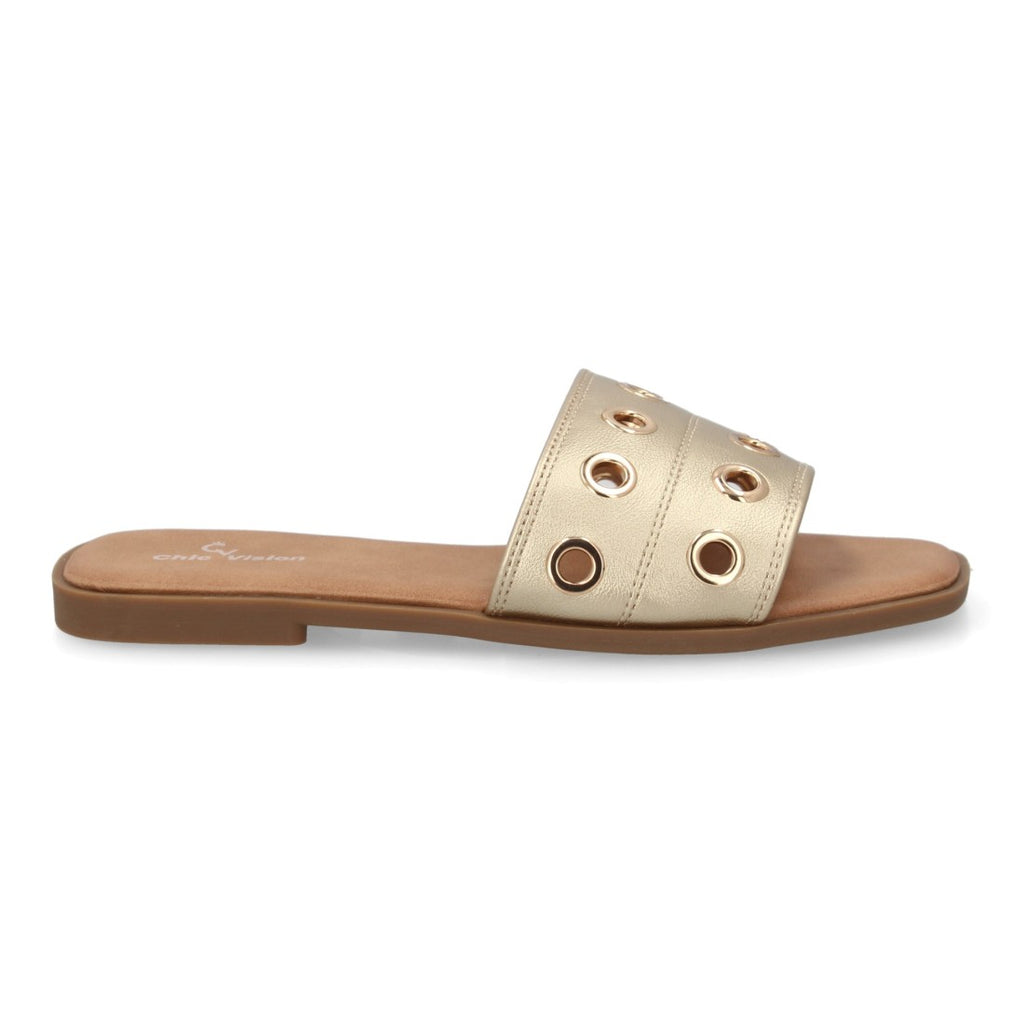 TF2529-Gold
