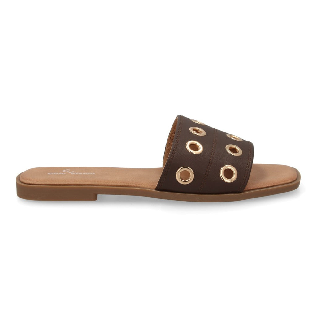TF2529-Brown