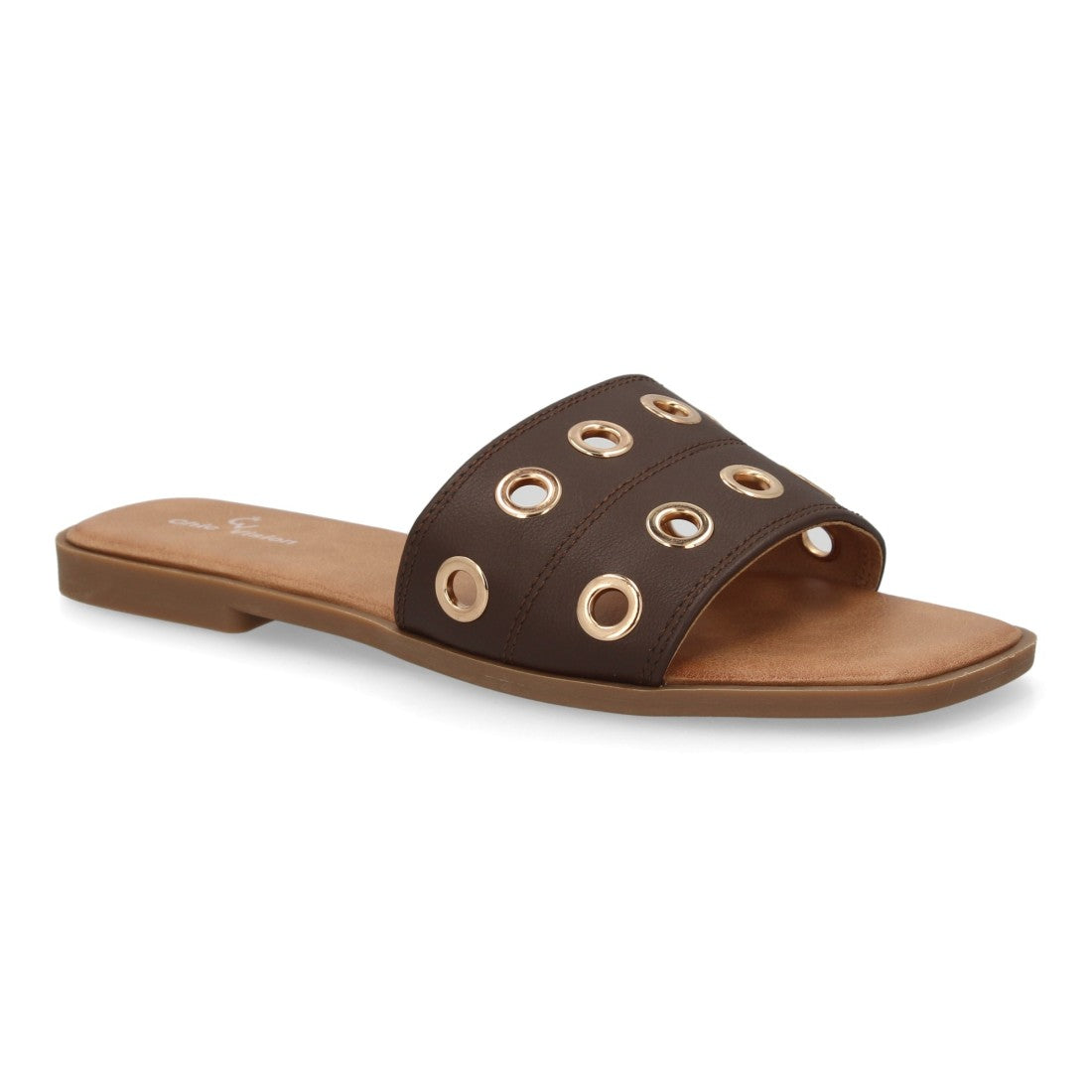TF2529-Brown