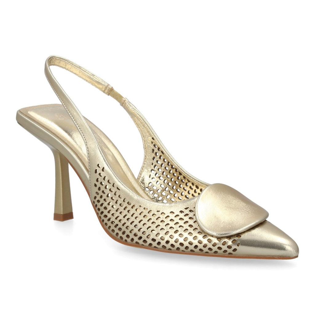 BS-5653-Oro