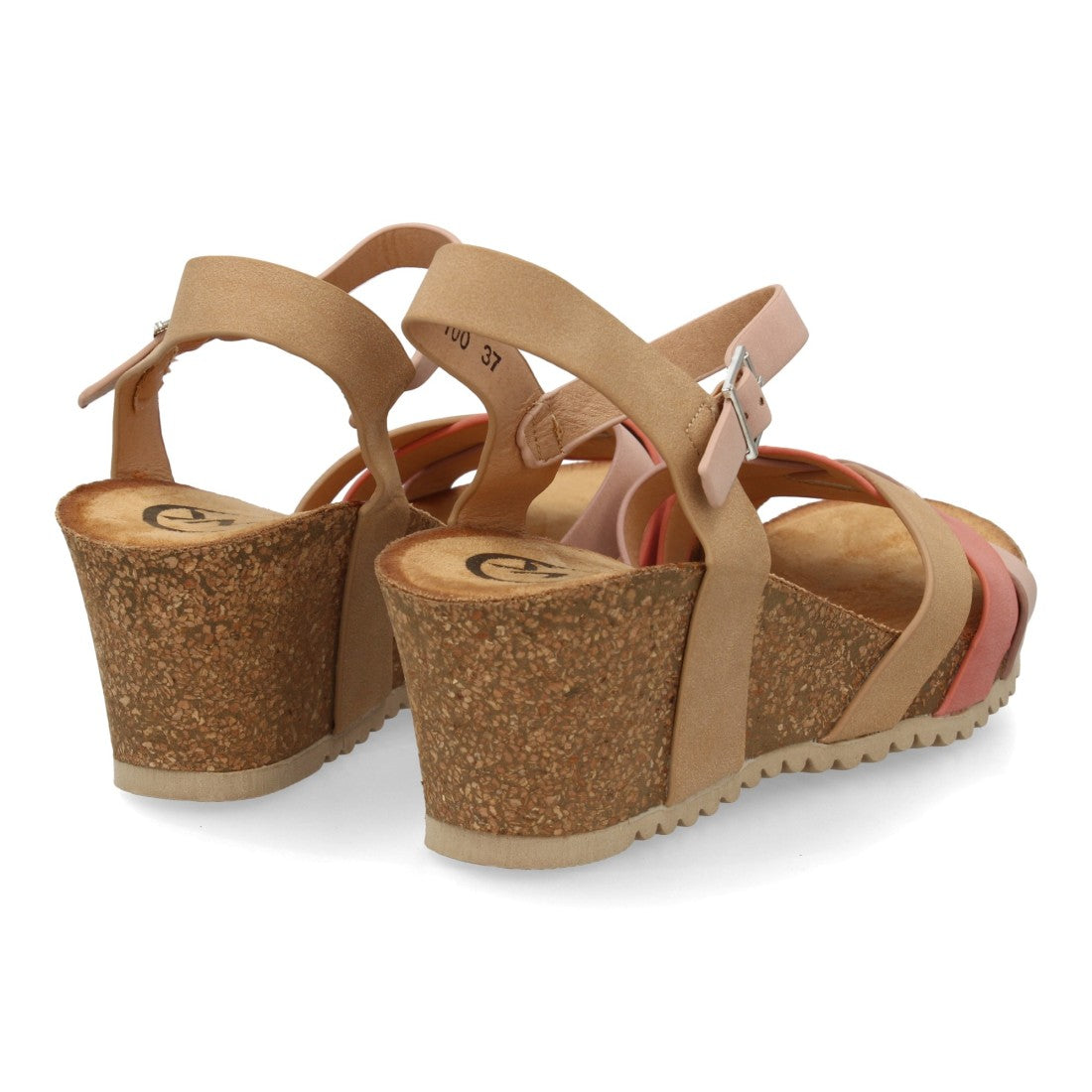 SS-100-Rose