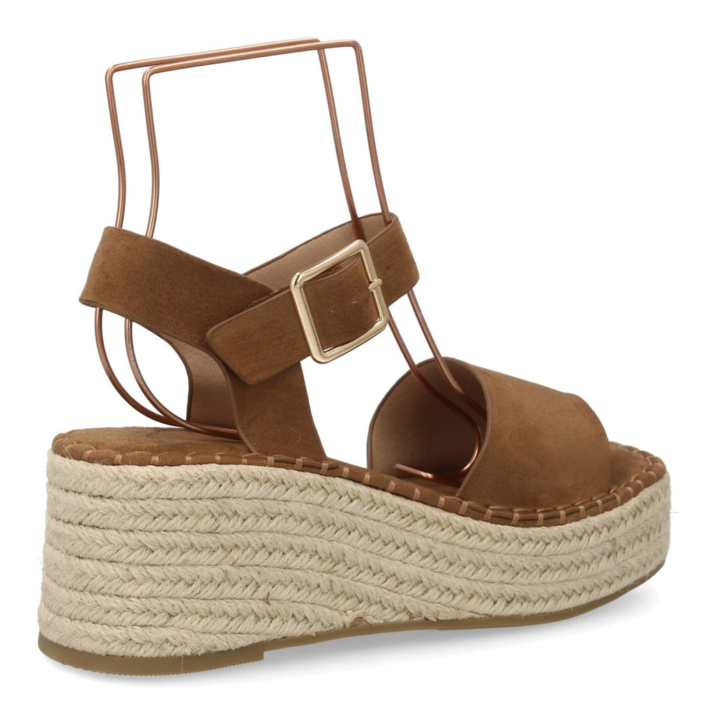 CF-5764-Camel