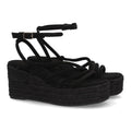 TF1026-Black