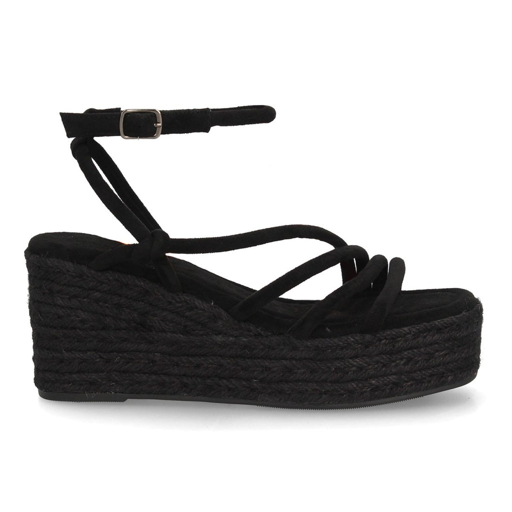 TF1026-Negro