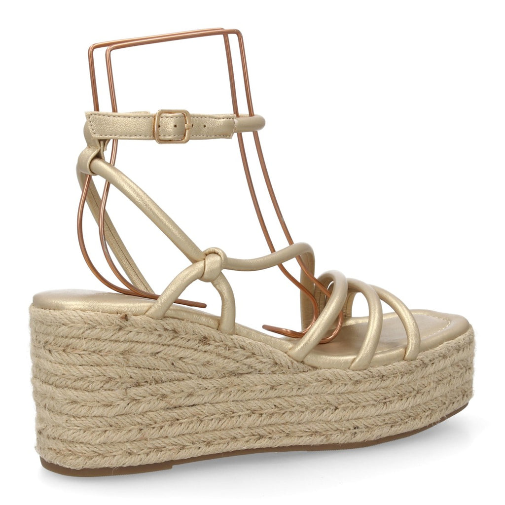 TF1026-Gold