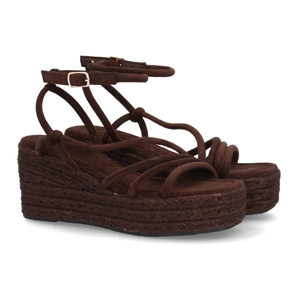 TF1026-Brown