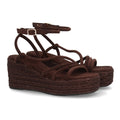 TF1026-Brown
