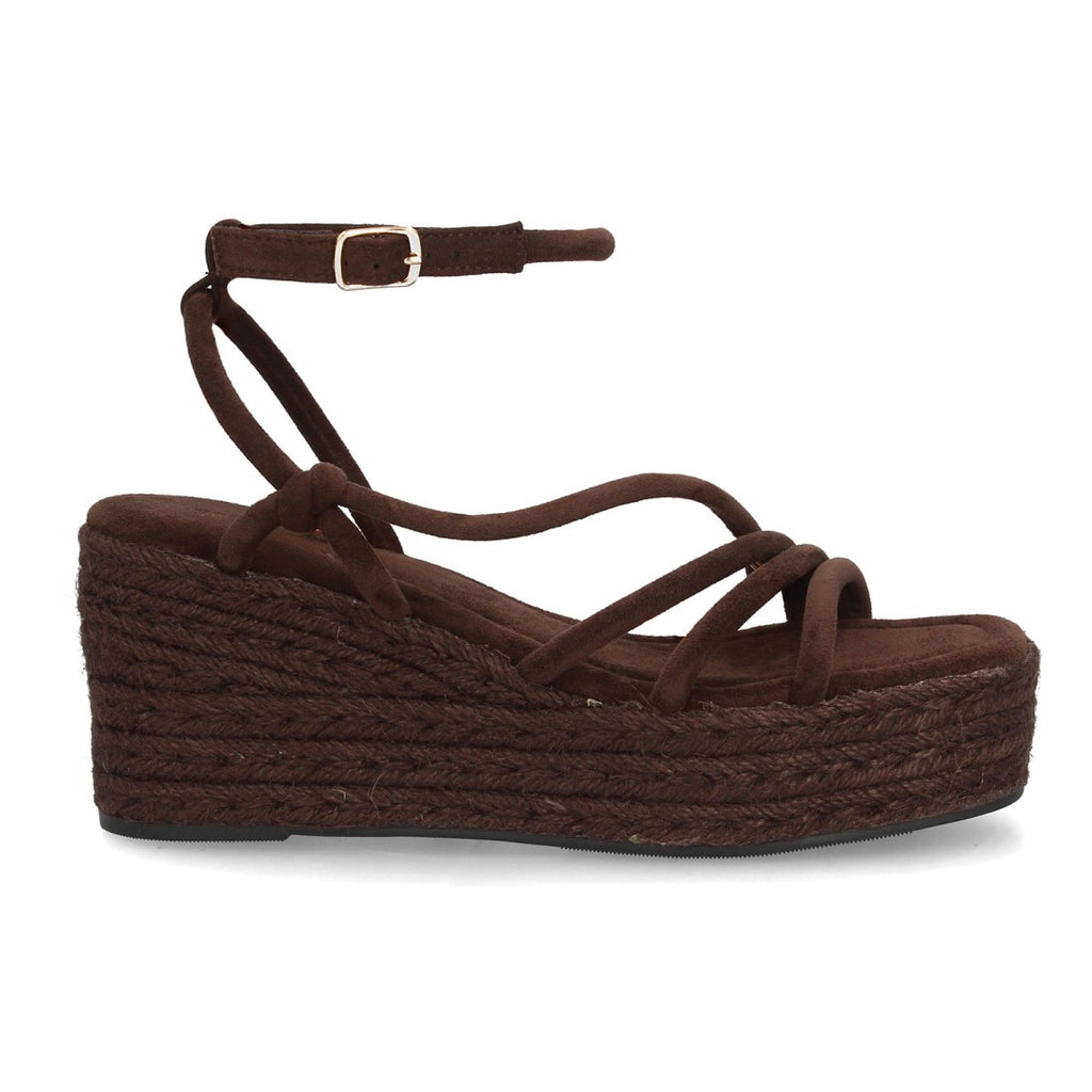 TF1026-Brown