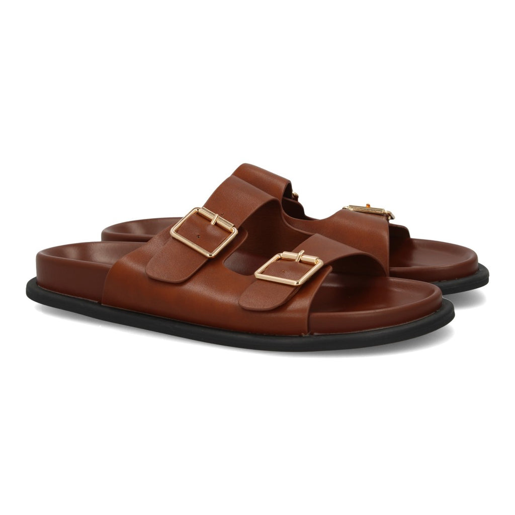 OH-572-Camel