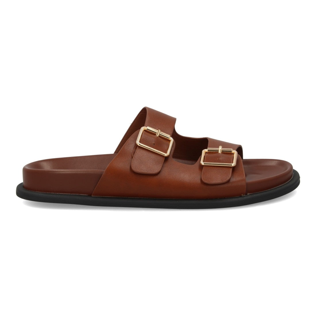 OH-572-Camel